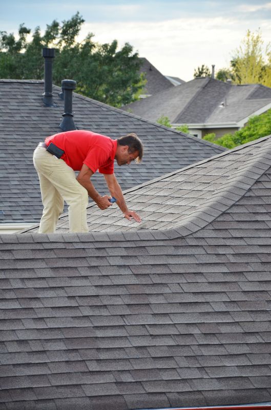 On-Site Roofing Inspection